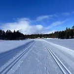 Spacious And Roomy On Golsfjellet