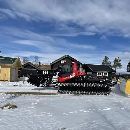 度假居 Spacious And Roomy On Golsfjellet *
