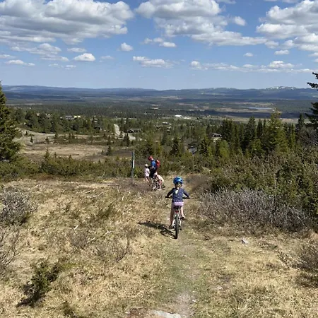 Spacious And Roomy On Golsfjellet * Gol
