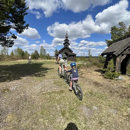Spacious And Roomy On Golsfjellet Gol