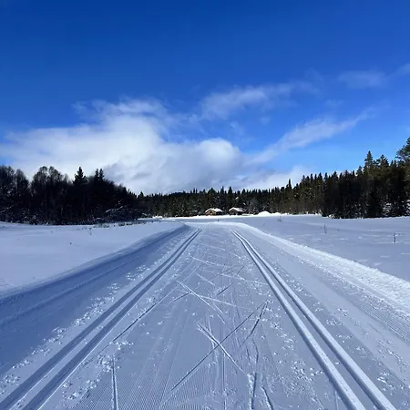 Spacious And Roomy On Golsfjellet