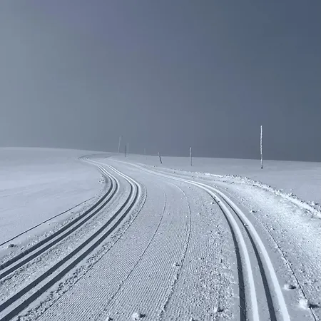 Spacious And Roomy On Golsfjellet * Gol