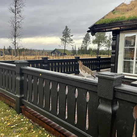 Spacious And Roomy On Golsfjellet Gol