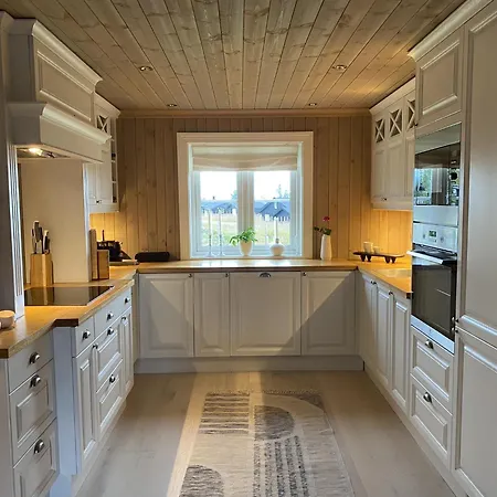 Spacious And Roomy On Golsfjellet Gol