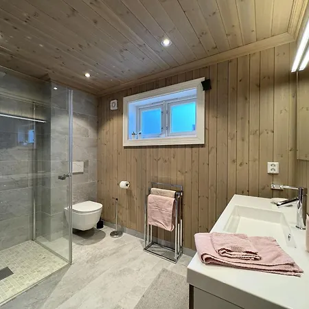 Spacious And Roomy On Golsfjellet Gol