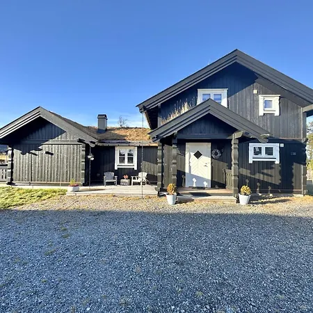 Spacious And Roomy On Golsfjellet 高尔