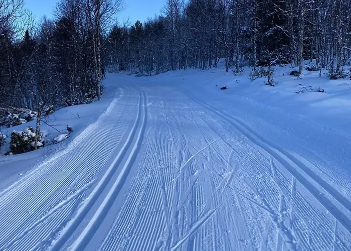 Spacious And Roomy On Golsfjellet 度假居