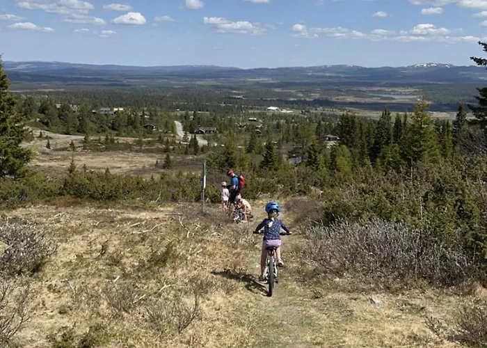 Spacious And Roomy On Golsfjellet * 高尔