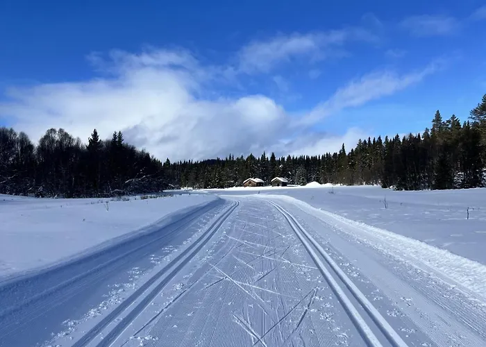Spacious And Roomy On Golsfjellet