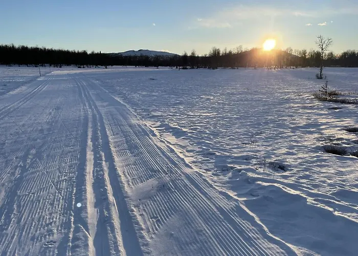 Spacious And Roomy On Golsfjellet 度假居