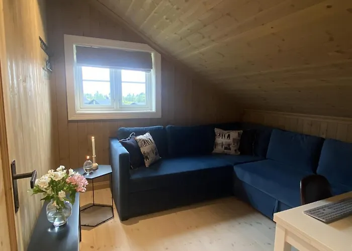 度假居 Spacious And Roomy On Golsfjellet *