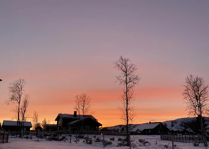 Spacious And Roomy On Golsfjellet 度假居