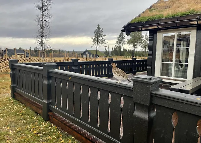 Spacious And Roomy On Golsfjellet 高尔