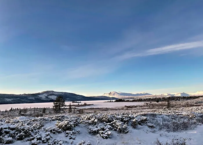 Spacious And Roomy On Golsfjellet 度假居 高尔